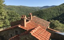 Foto pubblicata dell'ospite di Tribbiano