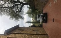 Foto pubblicata dell'ospite di Villa Il Prato