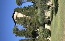 Foto pubblicata dell'ospite di Rocca di Cetona