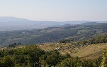 Foto pubblicata dell'ospite di La Fornace