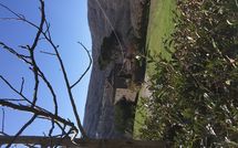 Foto pubblicata dell'ospite di Villa della Valle