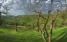 Foto pubblicata dell'ospite di Casalta di Pesa