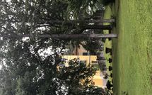 Foto pubblicata dell'ospite di Il Poggio di Patrignone