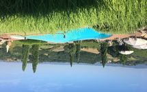 Foto pubblicata dell'ospite di Casa Mori