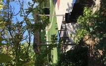 Foto pubblicata dell'ospite di Villa la Fragola