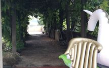 Foto pubblicata dell'ospite di Montegufoni