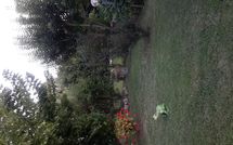 Foto pubblicata dell'ospite di Casina del Sole