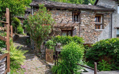 Il Gianlupo: Pianta, Costruzione, Finestra, Cielo, Vegetazione, Albero, Villetta, Biome, Quartiere, Casa