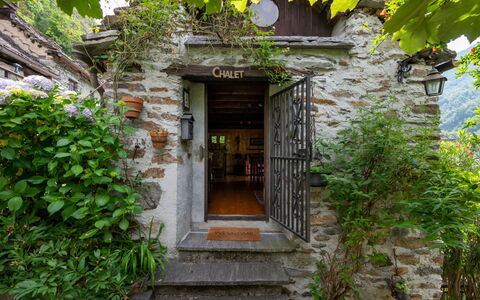 Il Gianlupo: Pianta, Proprietà, Legna, Architettura, Vegetazione, Biome, Porta, Parete, Costruzione