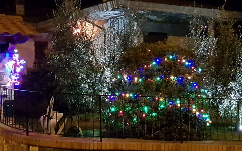La Casina Del Canneto: Illuminazione, Luce, Notte, Paesaggio Di Illuminazione, Albero, Architettura, Interior Design