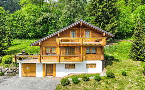 Edelweiss: Pianta, Costruzione, Finestra, Paesaggio Naturale, Casa, Albero, Legna, Lotto, Villetta, Erba