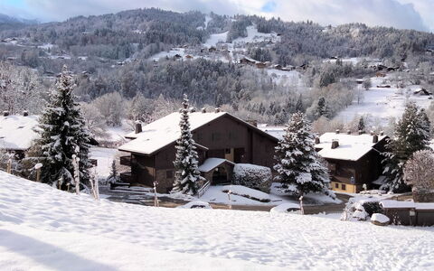 Les Huskies: Nube, Neve, Cielo, Montagna, Albero, Casa, Pendenza, Costruzione, Finestra, Paesaggio Naturale