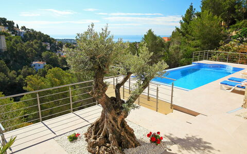 Casa Negrita: Cielo, Nube, Giorno, Pianta, Acqua, Albero, Urban Design, Tempo Libero, Vaso Di Fiori, Immobiliare