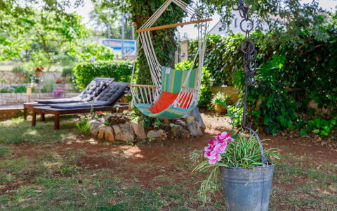 Poreč 307: Pianta, Mobilia, Vaso Di Fiori, Fiore, Mobili Da Esterno, Shade, Panchina, Pianta Della Casa, Albero, Erba
