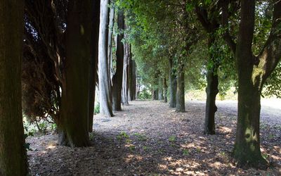 Villa Rocchi