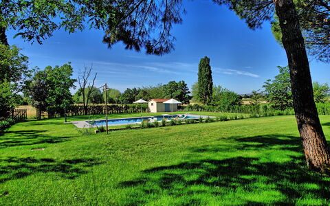 Villa Marietta: Verde, Paesaggio Naturale, Cielo, Erba, Albero, Paesaggio, Primavera, Area Rurale, Immobiliare, Azienda Agricola