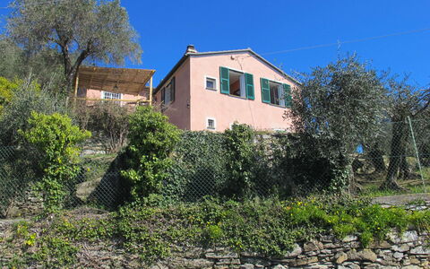 Ca Dò Sante: Pianta, Cielo, Comunita 'Impianto, Finestra, Costruzione, Casa, Lotto, Albero, Villetta