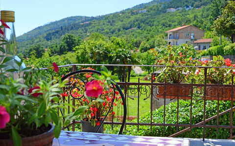 Nada: Fiore, Pianta, Cielo, Comunita 'Impianto, Costruzione, Vaso Di Fiori, Natura, Montagna, Albero, Paesaggio Naturale