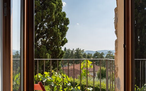 Villa Fracassini: Pianta, Cielo, Proprietà, Nube, Botanica, Shade, Costruzione, Legna, Illuminazione