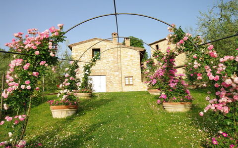 Villa Ardene: Arco, Architettura, Fiore, Pianta, Giardino, Primavera, Cortile, Casa, Erba, Prato