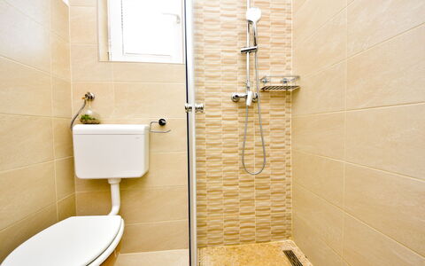 Ana: Proprietà, Idraulico Fixture, Bagno, Soffione Doccia, Toilet Seat, Viola, Gabinetto, Doccia, Pavimento