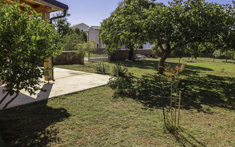 Lorenzo: Cielo, Pianta, Proprietà, Costruzione, Shade, Lotto, Manto Stradale, Albero, Erba, Biome