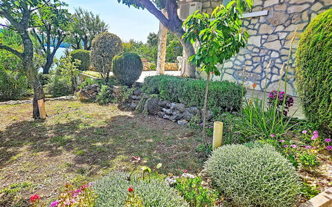 Matal: Fiore, Giardino, Arbusto, Comunita 'Impianto, Groundcover, Primavera, Backyard, Landscaping, Cortile