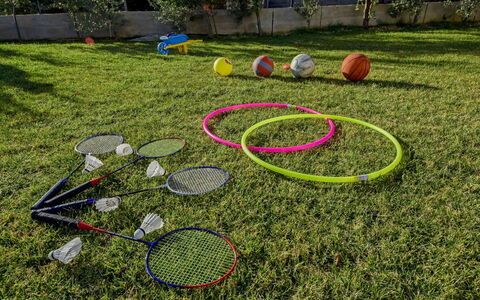 Aurora: Erba, Graminacee, Prato, Giochi, Pianta, Albero, Arbusto, Giardino, Giocare