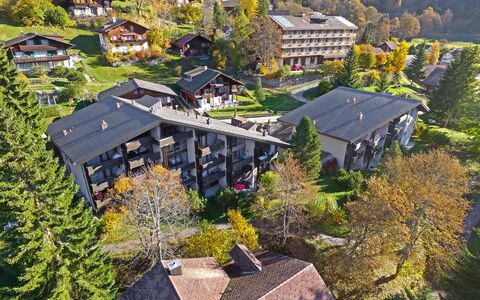 Wengen 59: Fotografia Aerea, Paesino Di Montagna, Tetto, Proprietà, Insediamento Umano, Casa, Cittadina, Zona Residenziale, Albero, Casa