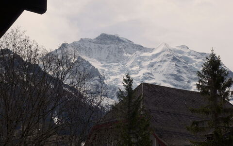 Im Gruebi Apt.5: Nube, Cielo, Montagna, Neve, Pendenza, Albero, Pianta, Highland, Fenomeno Atmosferico, Geografia Montane
