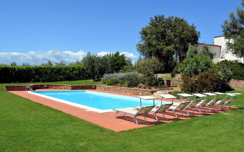 Di Vinci: Piscina, Proprietà, Erba, Immobiliare, Backyard, Casa, Lotto, Prato, Paesaggio, Cortile