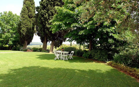 Di Vinci: Prato, Erba, Proprietà, Albero, Giardino, Paesaggio Naturale, Casa, Cortile, Graminacee, Arbusto