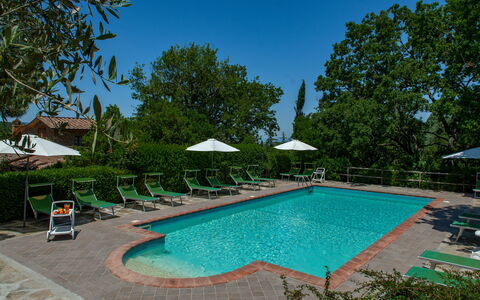Villa Il Prato: Mobili Da Esterno, Mobilia, Piscina, Ricorrere, Shade, Lettino, Ombrello, Tavolo Esterno, Giardino, Eco Hotel