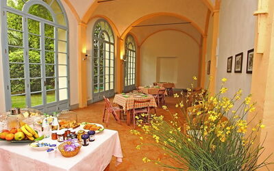 Alloggio:&nbsp;Villa Dei Limoni
