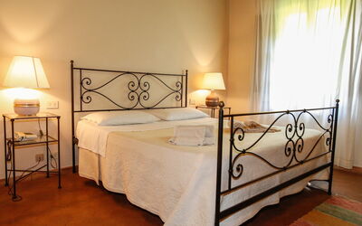 Alloggio:&nbsp;Paulonia