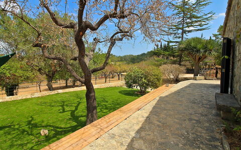 Can Coll: Proprietà, Albero, Immobiliare, Erba, Estate, Primavera, Casa, Costruzione, Architettura, Casa