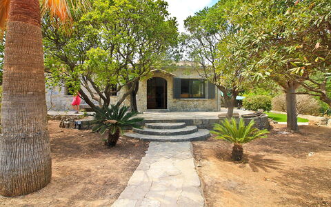 Can Coll: Proprietà, Casa, Immobiliare, Casa, Costruzione, Albero, Estate, Architettura, Botanica, Paesaggio