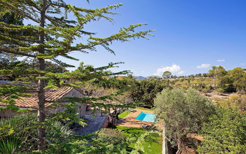 Can Coll: Vegetazione, Albero, Riserva Naturale, Natura Selvaggia, Ramo, Cielo, Botanica, Biome, Pianta, Woody Impianto
