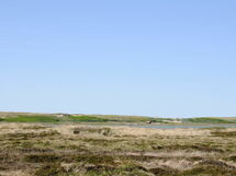 Ferring