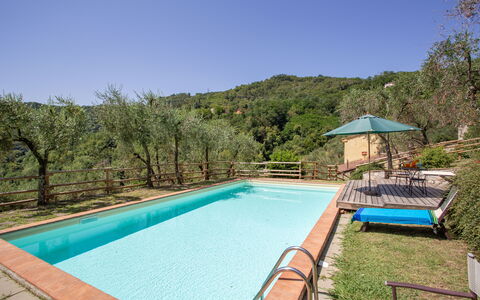 Villa Mastiano: Piscina, Proprietà, Immobiliare, Casa, Tempo Libero, Estate, Costruzione, Vacanza, Casa, Backyard