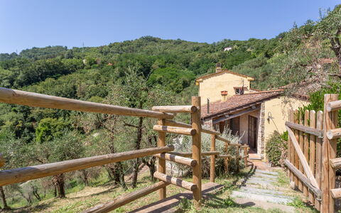 Villa Mastiano: Proprietà, Area Rurale, Immobiliare, Albero, Casa, Paesaggio, Costruzione, Pianta, Villaggio, Strada