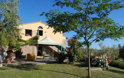 Il Circolo: Proprietà, Casa, Casa, Albero, Immobiliare, Costruzione, Quartiere, Villetta, Architettura, Zona Residenziale