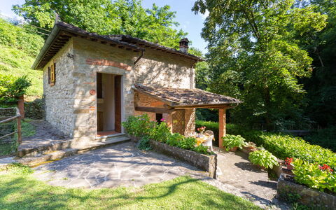 La Ripresa: Proprietà, Casa, Villetta, Costruzione, Immobiliare, Casa, Botanica, Cortile, Estate, Area Rurale