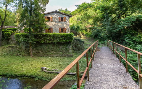 La Ripresa: Vegetazione, Riserva Naturale, Waterway, Albero, Fiume, Erba, Casa, Area Rurale, Alveo, Ponte
