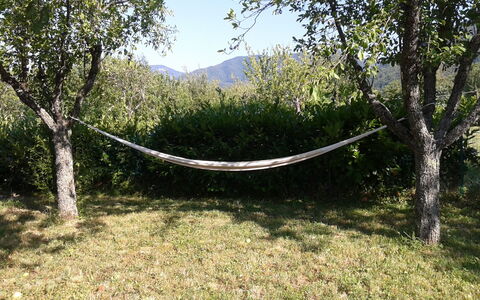 Appartamento Porretta Terme: Albero, Vegetazione, Paesaggio Naturale, Ambiente Naturale, Riserva Naturale, Erba, Foglia, Botanica, Foresta