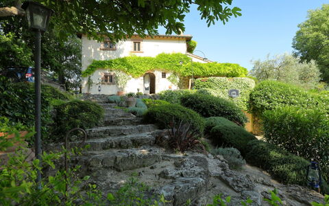 Oasis: Vegetazione, Proprietà, Giardino, Paesaggio Naturale, Casa, Villetta, Botanica, Arbusto, Costruzione, Albero