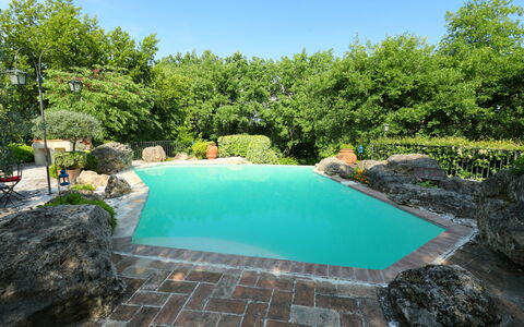 Oasis: Acqua, Pianta, Cielo, Risorse Idriche, Piscina, Azzurro, Albero, Paesaggio Naturale, Vegetazione, Erba