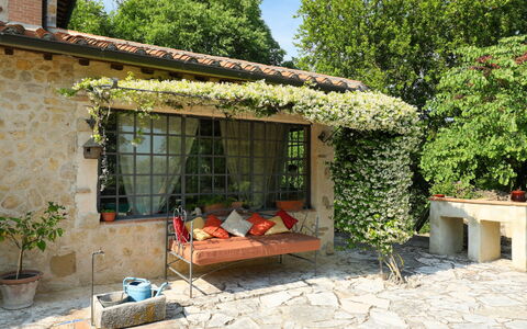 Oasis: Pianta, Costruzione, Proprietà, Finestra, Tavolo, Shade, Albero, Casa, Cielo, Architettura