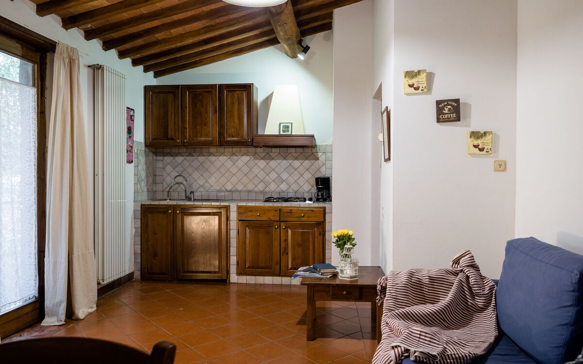 Alloggio:&nbsp;Olivi