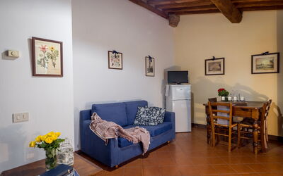Alloggio:&nbsp;Olivi